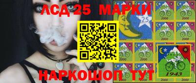 скорость Кингисепп