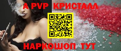 скорость Кингисепп