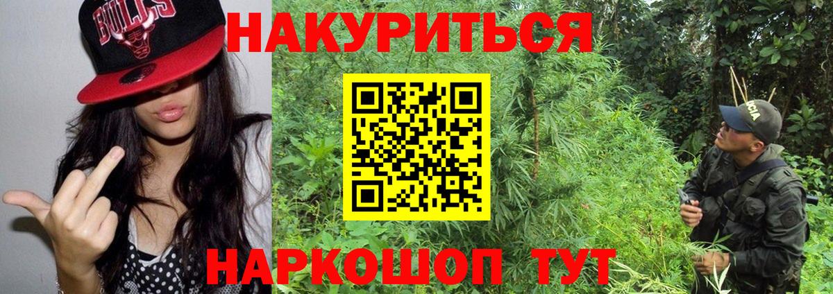 Канабис семена Кохма
